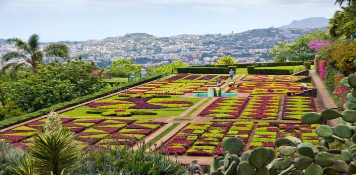 Portogallo - L'isola di Madeira in autonomia con auto a noleggio  3